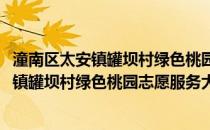 潼南区太安镇罐坝村绿色桃园志愿服务大队(关于潼南区太安镇罐坝村绿色桃园志愿服务大队的简介)