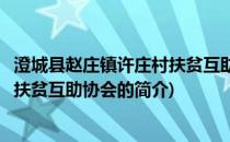 澄城县赵庄镇许庄村扶贫互助协会(关于澄城县赵庄镇许庄村扶贫互助协会的简介)