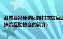 澄城县冯原镇团结村扶贫互助协会(关于澄城县冯原镇团结村扶贫互助协会的简介)