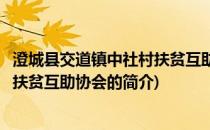 澄城县交道镇中社村扶贫互助协会(关于澄城县交道镇中社村扶贫互助协会的简介)