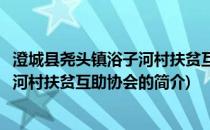 澄城县尧头镇浴子河村扶贫互助协会(关于澄城县尧头镇浴子河村扶贫互助协会的简介)