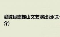 澄城县壶梯山文艺演出团(关于澄城县壶梯山文艺演出团的简介)