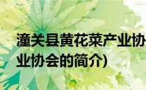 潼关县黄花菜产业协会(关于潼关县黄花菜产业协会的简介)