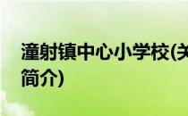 潼射镇中心小学校(关于潼射镇中心小学校的简介)