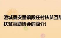 澄城县安里镇段庄村扶贫互助协会(关于澄城县安里镇段庄村扶贫互助协会的简介)