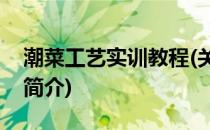 潮菜工艺实训教程(关于潮菜工艺实训教程的简介)