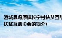 澄城县冯原镇长宁村扶贫互助协会(关于澄城县冯原镇长宁村扶贫互助协会的简介)