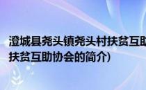 澄城县尧头镇尧头村扶贫互助协会(关于澄城县尧头镇尧头村扶贫互助协会的简介)