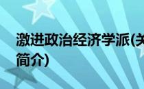 激进政治经济学派(关于激进政治经济学派的简介)