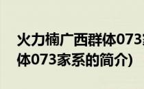 火力楠广西群体073家系(关于火力楠广西群体073家系的简介)