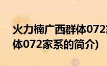 火力楠广西群体072家系(关于火力楠广西群体072家系的简介)