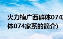 火力楠广西群体074家系(关于火力楠广西群体074家系的简介)