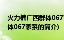 火力楠广西群体067家系(关于火力楠广西群体067家系的简介)