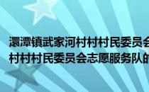 澴潭镇武家河村村村民委员会志愿服务队(关于澴潭镇武家河村村村民委员会志愿服务队的简介)