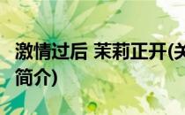 激情过后 茉莉正开(关于激情过后 茉莉正开的简介)