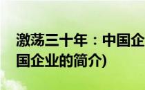 激荡三十年：中国企业(关于激荡三十年：中国企业的简介)