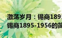 激荡岁月：锡商1895-1956(关于激荡岁月：锡商1895-1956的简介)