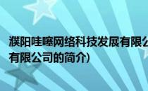 濮阳哇噻网络科技发展有限公司(关于濮阳哇噻网络科技发展有限公司的简介)