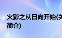 火影之从日向开始(关于火影之从日向开始的简介)