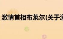 激情首相布莱尔(关于激情首相布莱尔的简介)