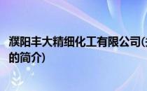 濮阳丰大精细化工有限公司(关于濮阳丰大精细化工有限公司的简介)