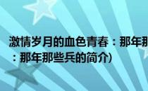 激情岁月的血色青春：那年那些兵(关于激情岁月的血色青春：那年那些兵的简介)