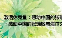 激活休克鱼：感动中国的张瑞敏与海尔文化(关于激活休克鱼：感动中国的张瑞敏与海尔文化的简介)