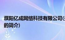 濮阳亿成网络科技有限公司(关于濮阳亿成网络科技有限公司的简介)