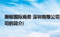 瀚鲸国际商务 深圳有限公司(关于瀚鲸国际商务 深圳有限公司的简介)