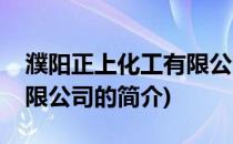 濮阳正上化工有限公司(关于濮阳正上化工有限公司的简介)