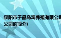 濮阳市子晶乌鸡养殖有限公司(关于濮阳市子晶乌鸡养殖有限公司的简介)