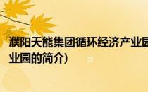 濮阳天能集团循环经济产业园(关于濮阳天能集团循环经济产业园的简介)