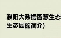 濮阳大数据智慧生态园(关于濮阳大数据智慧生态园的简介)