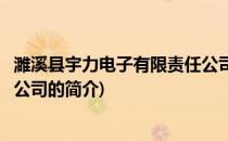 濉溪县宇力电子有限责任公司(关于濉溪县宇力电子有限责任公司的简介)