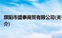 濮阳市盛泰商贸有限公司(关于濮阳市盛泰商贸有限公司的简介)