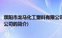 濮阳市龙马化工塑料有限公司(关于濮阳市龙马化工塑料有限公司的简介)