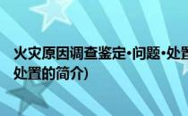 火灾原因调查鉴定·问题·处置(关于火灾原因调查鉴定·问题·处置的简介)