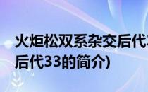 火炬松双系杂交后代33(关于火炬松双系杂交后代33的简介)