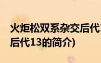 火炬松双系杂交后代13(关于火炬松双系杂交后代13的简介)