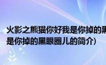 火影之熊猫你好我是你掉的黑眼圈儿(关于火影之熊猫你好我是你掉的黑眼圈儿的简介)