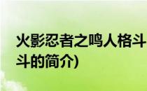 火影忍者之鸣人格斗(关于火影忍者之鸣人格斗的简介)