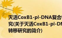 灭活CoxB1-pl-DNA复合物载体靶向于肌肉的基因转移研究(关于灭活CoxB1-pl-DNA复合物载体靶向于肌肉的基因转移研究的简介)