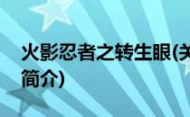 火影忍者之转生眼(关于火影忍者之转生眼的简介)