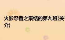 火影忍者之集结的第九班(关于火影忍者之集结的第九班的简介)