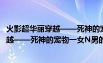 火影超华丽穿越——死神的宠物一女N男(关于火影超华丽穿越——死神的宠物一女N男的简介)