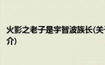 火影之老子是宇智波族长(关于火影之老子是宇智波族长的简介)