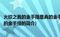 火纹之我的金手指是真的金手指(关于火纹之我的金手指是真的金手指的简介)