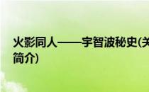 火影同人——宇智波秘史(关于火影同人——宇智波秘史的简介)