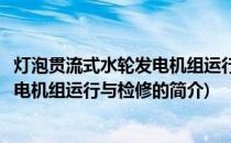 灯泡贯流式水轮发电机组运行与检修(关于灯泡贯流式水轮发电机组运行与检修的简介)