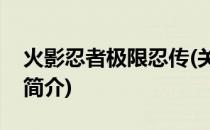 火影忍者极限忍传(关于火影忍者极限忍传的简介)